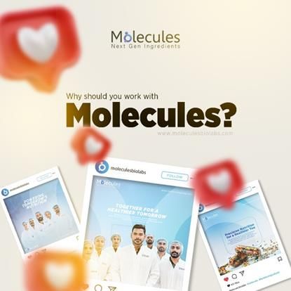 Why should you work with Molecules?